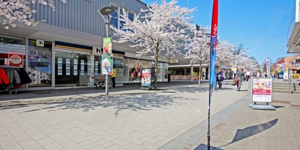 avenew_content_03-800x600-1