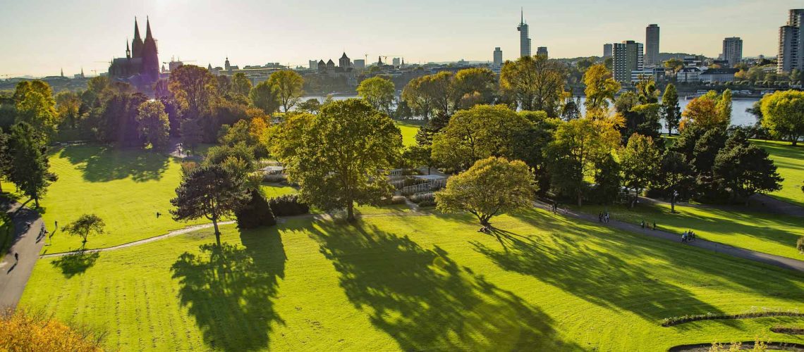 Mehr über den Artikel erfahren Köln erhält einen Masterplan für sein Stadtgrün